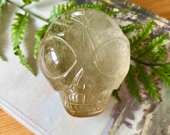 Amazing Citrine Golden Rutile Leandro De Souza Star Child Crystal Skull