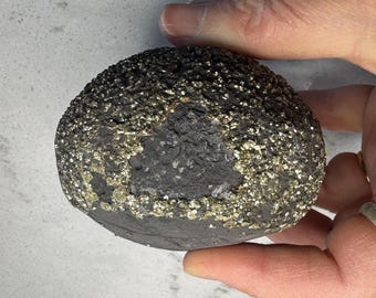 Stunning Large Pyrite Concretion #1