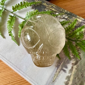 Large Rutile Citrine Crystal Skull: Leandro De Souza Carving