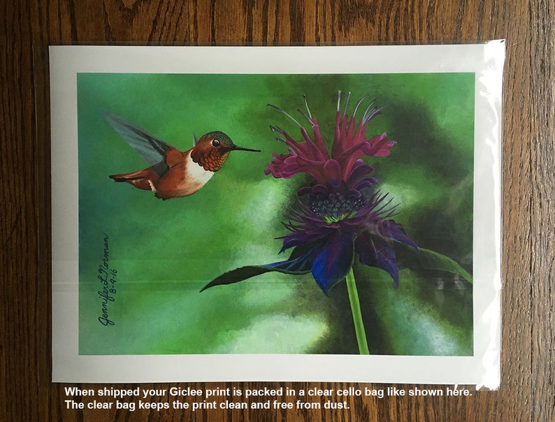 Hummingbird Art Hummingbird Hummingbird Wall Art Home Etsy