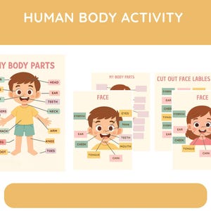 Tabla imprimible de las partes de mi cuerpo / Póster de anatomía humana para niños / Página de libro de actividades para niños pequeños / Actividad educativa preescolar