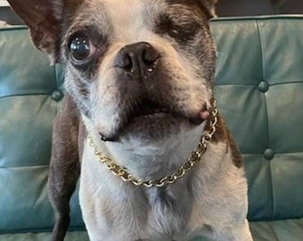 Kette für hunde - Die preiswertesten Kette für hunde analysiert!