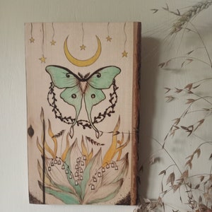 Luna moth Actias Luna wall hanging Cottagecore art decor Whimsical nature art Nature lover gift Insect wall art