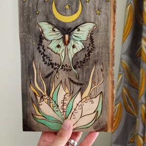 Luna moth Actias Luna wall hanging Cottagecore art decor Whimsical nature art Nature lover gift Insect wall art