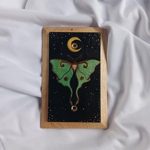Luna moth blank wall cover Unique Wood insect switchplate Insect wall art decor Luna moth functional art Whimsical switchplate cover