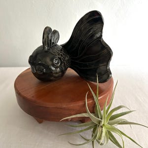 May include: A black ceramic fish sculpture with detailed fins and a round body, resting on a small, round, wooden pedestal. The sculpture is positioned next to a green air plant, creating a decorative display.