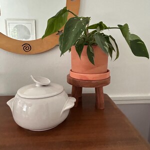 Puede incluir: Una fuente de cerámica clara con tapa y asas está sobre una superficie de madera. Una planta en maceta con hojas verdes y manchas blancas descansa sobre un pequeño soporte de madera para plantas. Un espejo redondo está en el fondo.