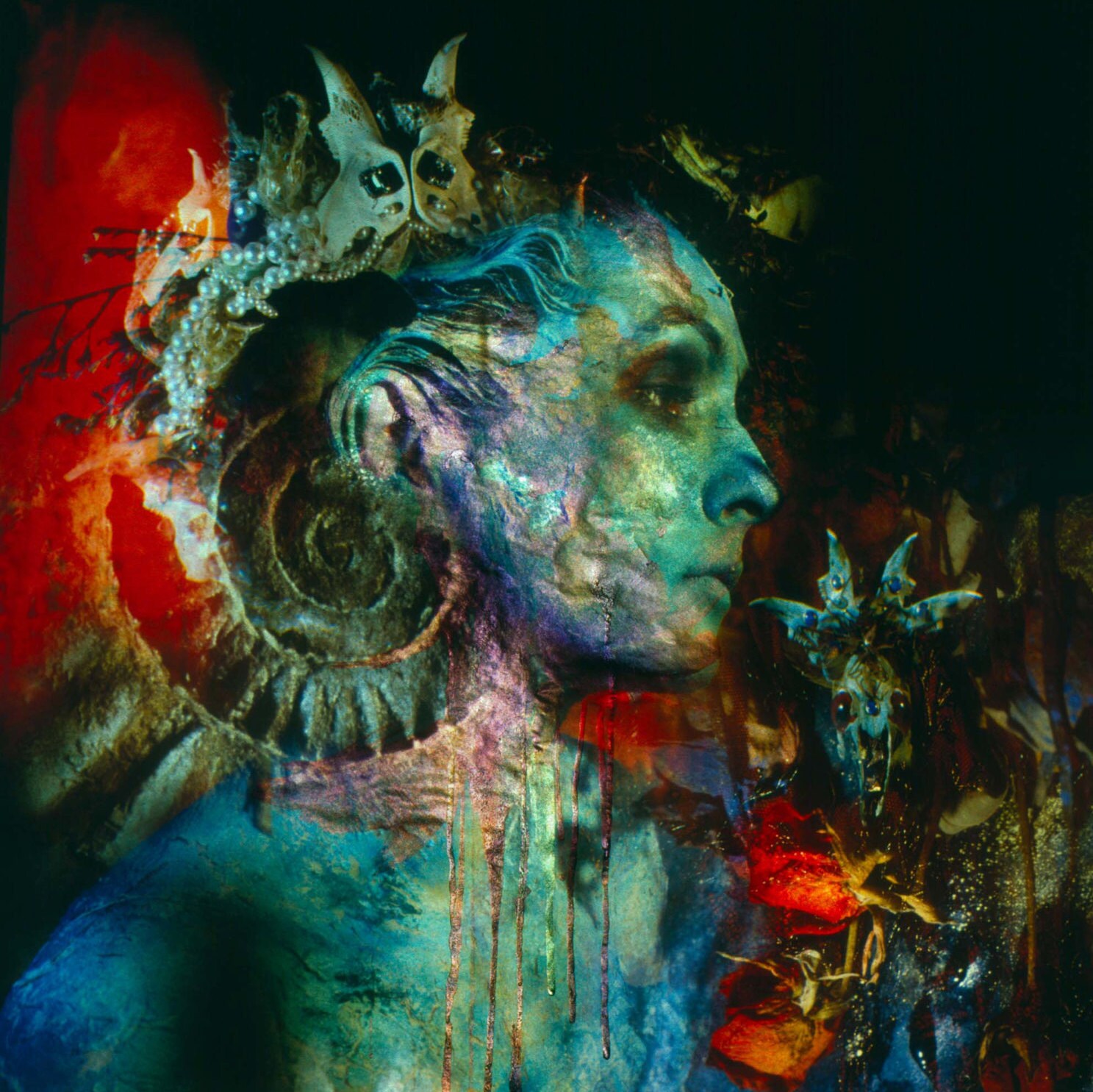 Holly Warburton / Amaranth 作品集