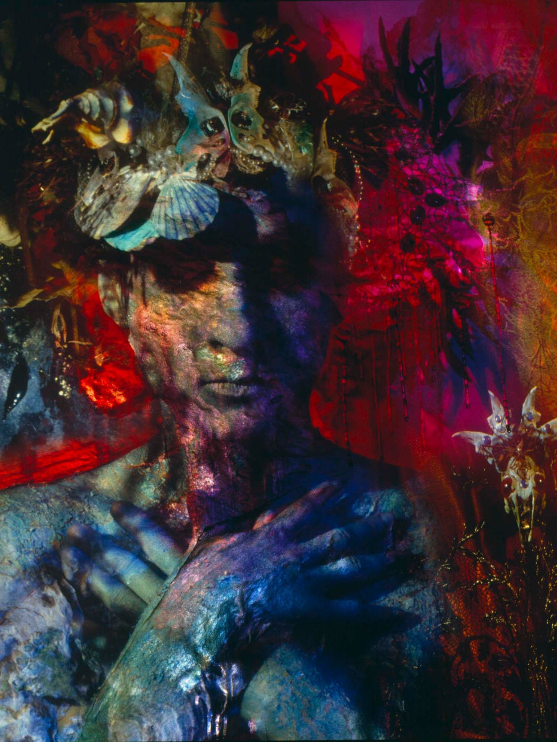 Holly Warburton / Amaranth 作品集 Holly Warburton / Amaranth 作品集 - メルカリ