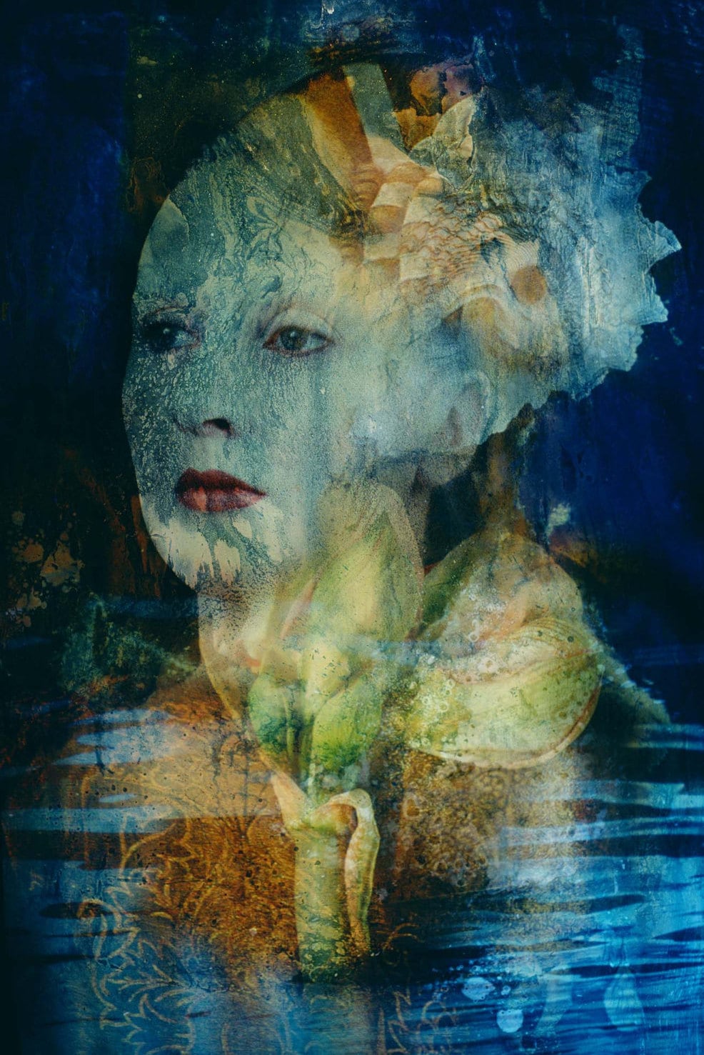 Holly Warburton / Amaranth 作品集 Amazon.co.jp: HOLLY WARBURTON ホリー=ワーバートン amaranth