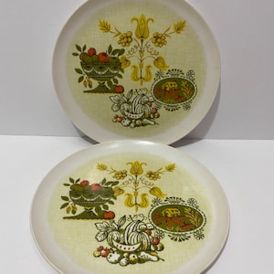 70s Boho Allied Chemical Melamine Melmac Plastic Plates Hippie Kitchen