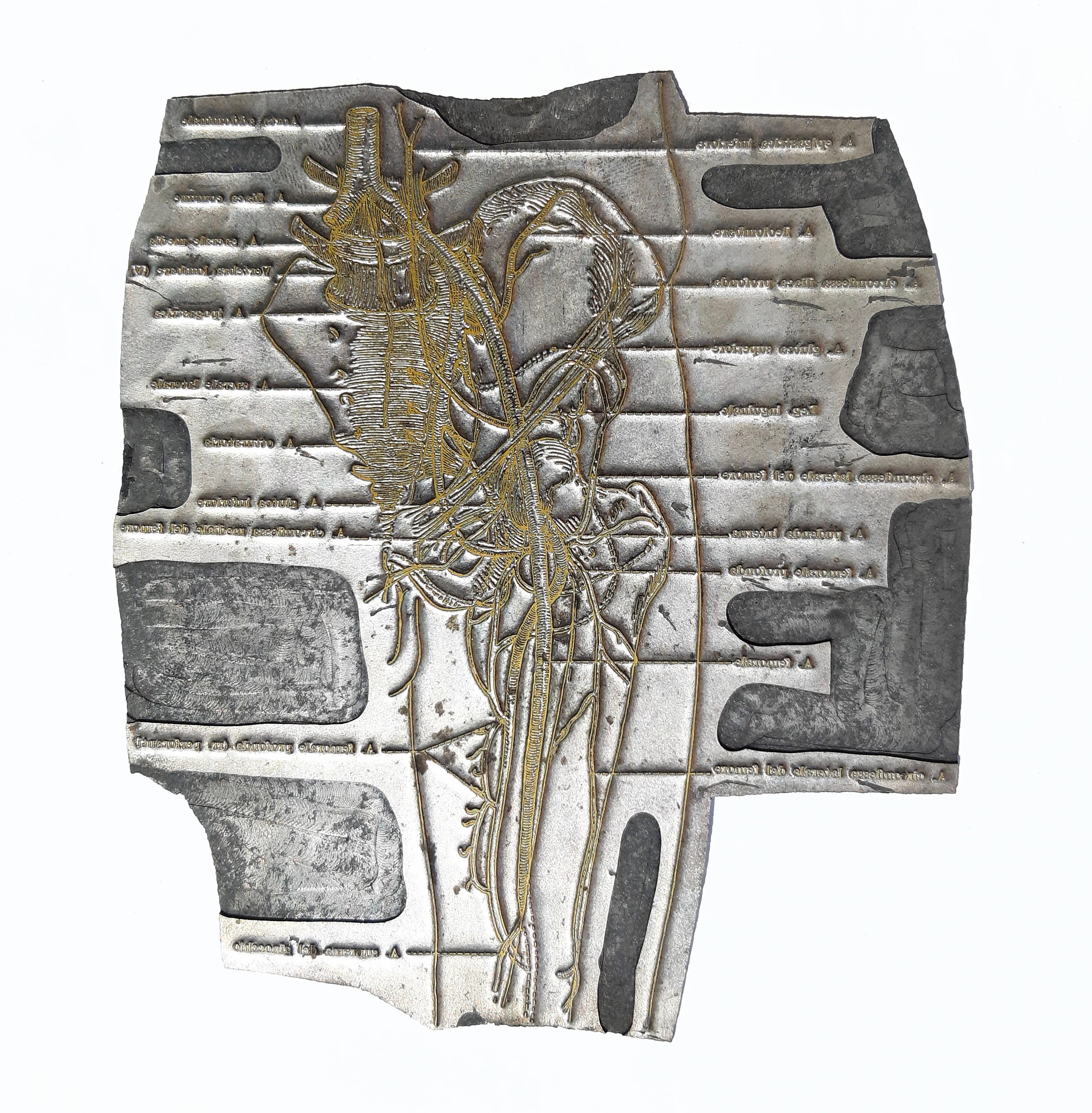 Etchings & Engravings Art & Collectibles Vintage Medical Leg Lower Limb