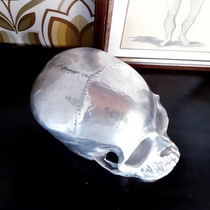 May include: A silver-colored, detailed anatomical skull replica. The skull is made of a smooth, shiny material and is positioned on a dark surface.