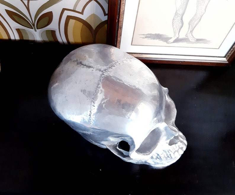 May include: A silver-colored, detailed anatomical skull replica. The skull is made of a smooth, shiny material and is positioned on a dark surface.
