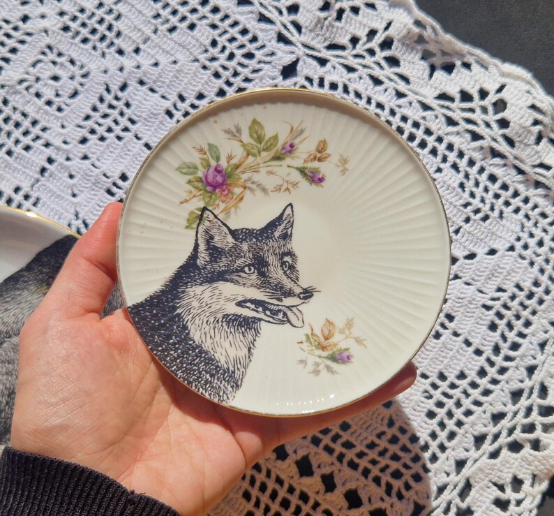 Set of 2 Mismatch Side Plates Fox image 3