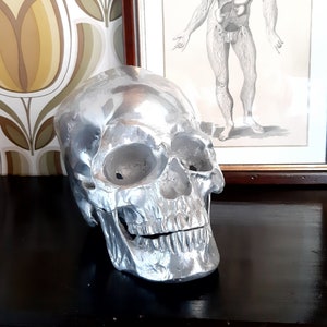 May include: A silver skull sculpture with a detailed anatomical design. The skull is sitting on a dark wooden surface.