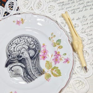 May include: A white porcelain plate with a detailed anatomical illustration of a human brain and neck. Pink floral accents adorn the plate's edge. A pen shaped like a bone rests on the plate.