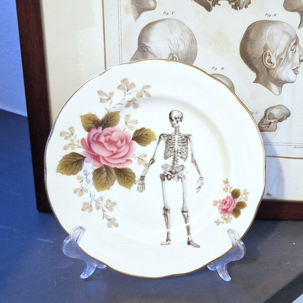 Skeleton on Vintage English Side plate