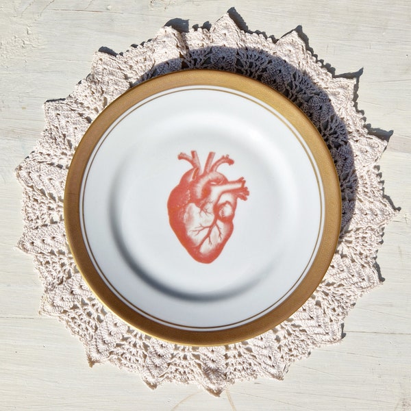 Platillo vintage Anatomical Heart Red