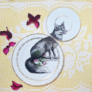 Set of 2 Mismatch Side Plates Fox