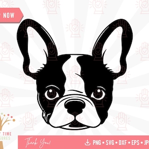 Bulldog Francês Svg, Cute Puppy Clipart, Frenchie Cut Files, Pet Face Png, Pedigree Dog Breed Svg, Bulldog Printable, Funny Dog Clipart