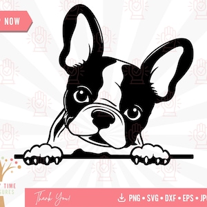 Espiando Bulldog Francês Svg, Cute Puppy Clipart, Frenchie Cut Files, Pet Face Png, Pedigree Dog Breed Svg, Bulldog Printable