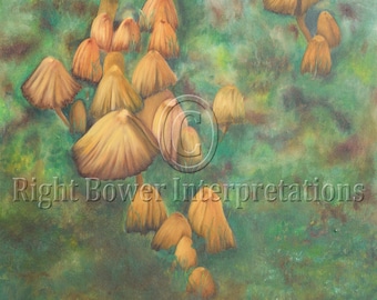 Original Signed Vintage Fine Art 14X18 Oil Painting, Mushrooms, Fungi, Unique Wall Art, Realism, Unframed Canvas Art, Greens Interior Design