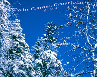 Lot of 5 Prints in 5 Different Sizes of an Unframed Photo Print Titled "Snow Day Blues, Snow on Trees, Winter Snow Landscape Wall Art Gift