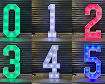 White Wedding Love Letters / Numbers , 4ft Marquee Lights