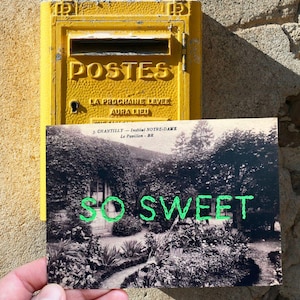 Carte postale Chantilly - So sweet (vert)