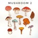 42 Mushroom Stickers Planner sticker Journaling botanical | Etsy