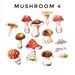 42 Mushroom Stickers Planner sticker Journaling botanical | Etsy