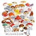 42 Mushroom Stickers Planner sticker Journaling botanical | Etsy
