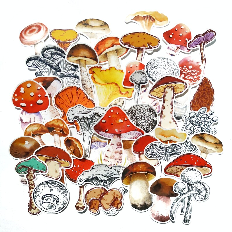 42 Mushroom Stickers Planner sticker Journaling botanical | Etsy