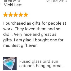 Bird suncatcher glass hanging ornament for garden or window decoration, nature lover, teacher gift image 4