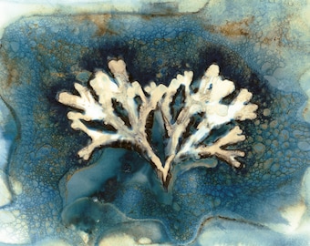 Original Unique Wet Cyanotype Print of  seaweed
