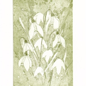 May include: A green and white print of a cluster of snowdrops, with the text "Snowdrops" and "JW" in the bottom right corner.