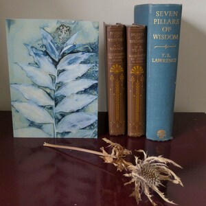 May include: A blue and white watercolor painting of a plant with leaves. Three books are on a shelf behind the painting. The books are titled "Poems of Whittie", "Poems of Spenser", and "Seven Pillars of Wisdom".