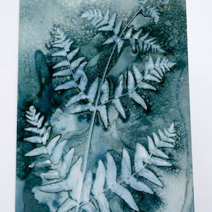 Carte d'art botanique à partir d'une impression cyanotype humide originale d'Osmunda regalis ou de la fougère royale par Jill Welham de la collection The Secret Garden