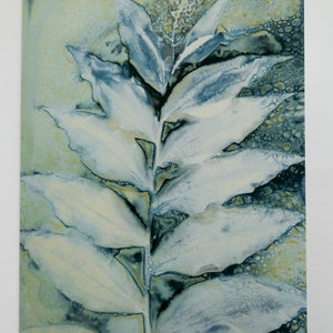 Carte d'art botanique à partir d'une impression cyanotypie humide originale de Maianthemum recemosum par Jill Welham de The Secret Garden Collection