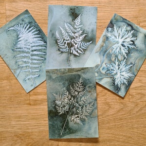 Cartes d'art botanique, lot de quatre cartes à partir d'impressions originales en cyanotypie humide par Jill Welham de la collection The Hedgerow Flora