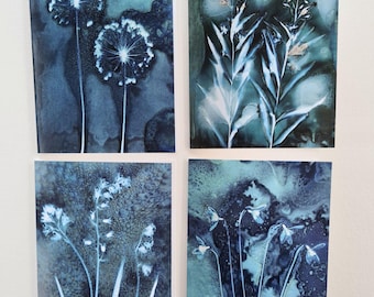 Cyanotype Botanical Art Cards: Wildflower & Fern Prints, Set of 4