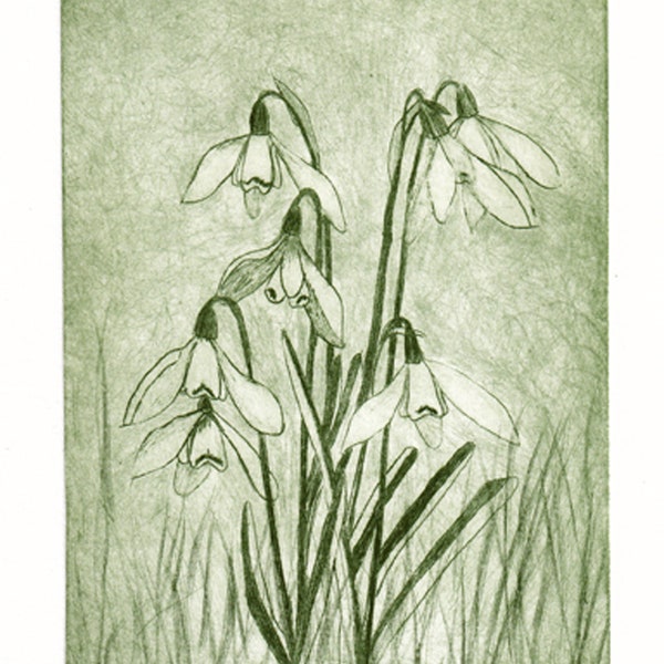 Small original fine art drypoint print of snowdrops, printed in green ink on paper