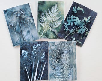 Cyanotype Botanical Art Cards: Flower & Fern Prints, Set of 5