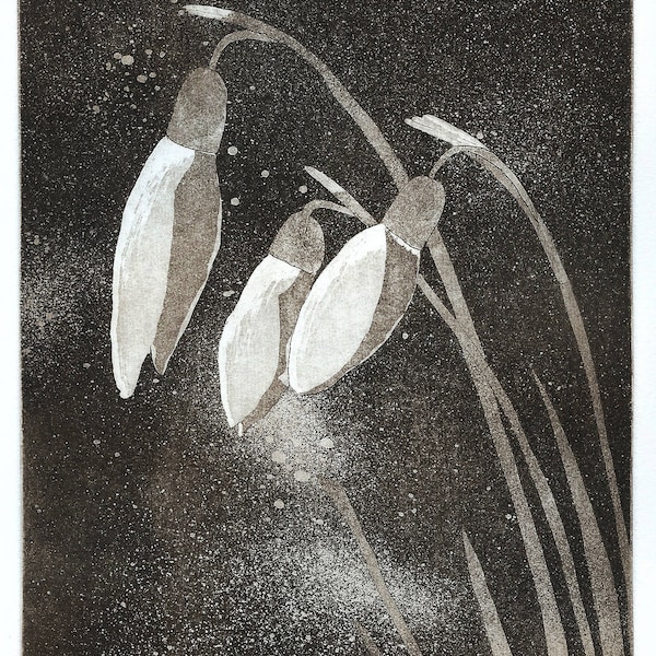 Snowdrops Etching Fine Art Original Print