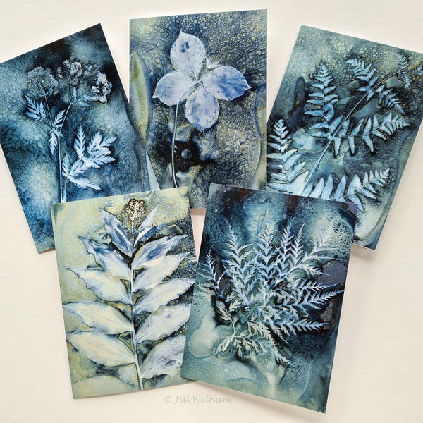 Cartes d'art botanique, lot de cinq cartes à partir d'épreuves originales de cyanotypie humide par Jill Welham de The Secret Garden Collection