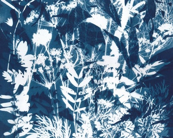 Original cyanotype print of mixed plants and flowers from Burton Agnes Hall walled garden