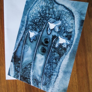 Carte de voeux botanique vierge à partir d'une impression cyanotypée originale de trois fleurs de perce-neige par Jill Welham