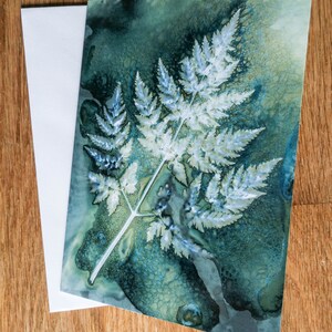 Carte de voeux botanique vierge à partir d'une impression originale par cyanotypie humide d'une feuille de cow persil par Jill Welham