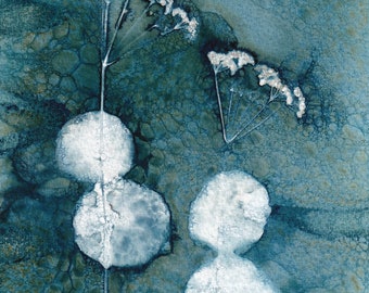 Original wet cyanotype print of Smyrnium perfoliatum